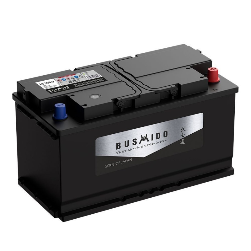 10a73b15-0a31-11ef-9c44-005056893be9-1