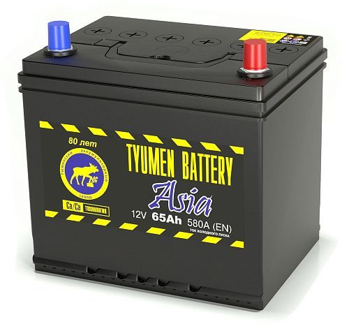 Купить TYUMEN BATTERY Asia 6СТ-65 (О.П.) 580А (с буртом)