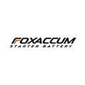 Купить Foxaccum