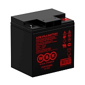 Купить WBR EVX12300S (12V 30Ah)